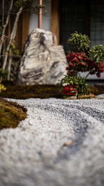Treatment Plans for Knotweed